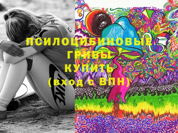 амф Кропоткин