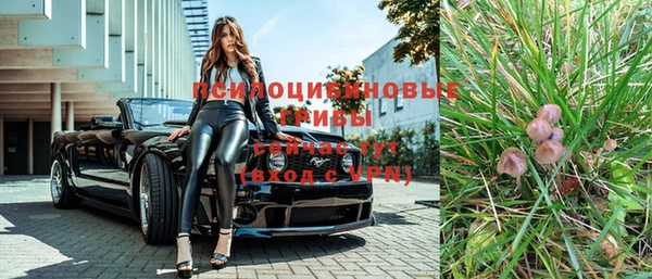 СК Бронницы